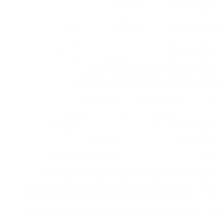 клипарт фотоалбуми