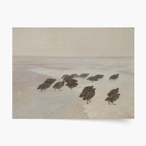 Плакат, Й. Хелмонски „Яребици“, 70x50