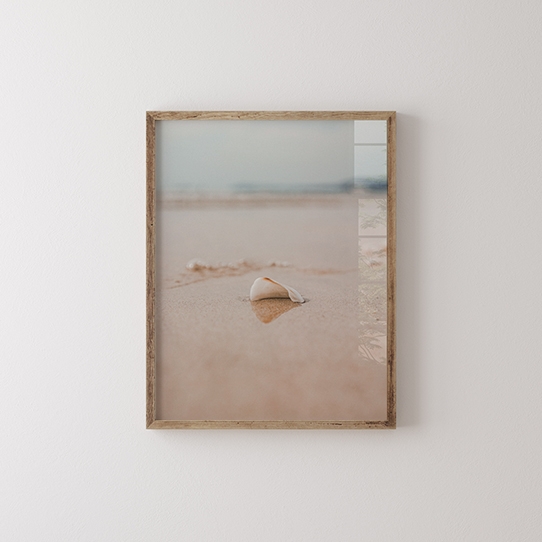 Плакат, Море: Черупка, 30x40