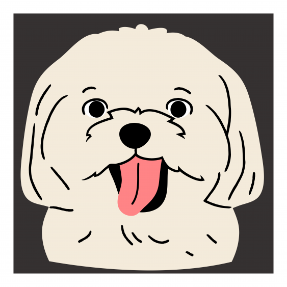 Канава, Кучета: Малтийски, 30x30 cm