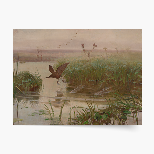 Плакат, Юзеф Хелмонски "Водната кокошка", 40x30