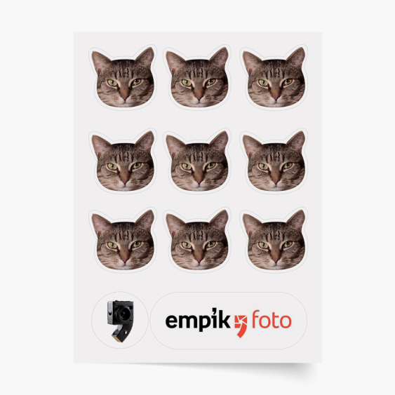 Стикер, 9 елементи